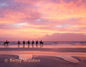3rd-Place-Beginner-Horses-on-the-Beach-by-Betty-Walden